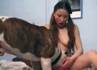 Spotted dogs are fucking with pleasure