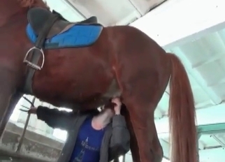 Sexy horse shitting in the barn