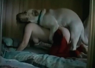 White dog with meaty dick fucked my wife