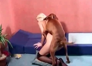 Passionate blonde is enjoying quick bestiality