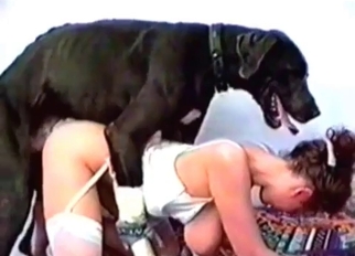 Playful black dog fucked her wet vagina