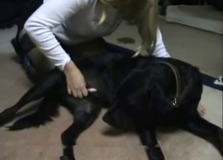 Black dog and secretary zoofil have sex