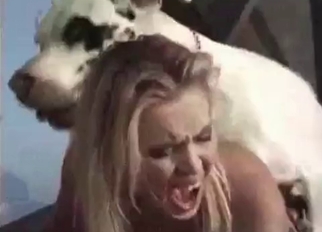 White dog nicely pounds her tight wet hole