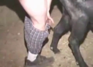 Farm animal nicely fucked in the barn