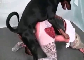 Black-haired doggy licks her wet vagina