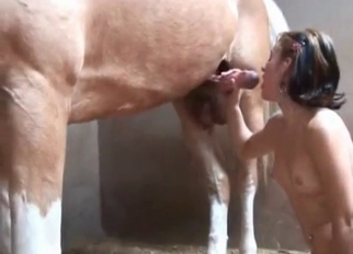 Gorgeous stallion is trying nasty bestiality