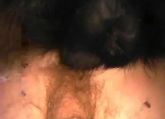Black pitbull hardly fucked her wet cunt