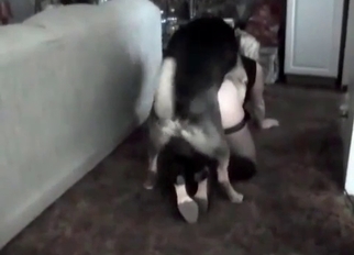 Pretty chick is playing with nice doggy