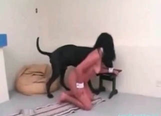 Big-ass babe fucked hard by amazing doggy