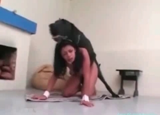 Big-ass babe fucked hard by amazing doggy