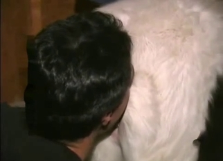 Disgusting amateur bestiality sex action in barn