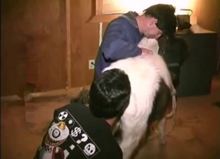 Disgusting amateur bestiality sex action in barn