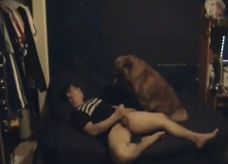 Crazy doggy fucked her tight wet hole