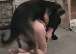 Big-ass babe is trying dog sex