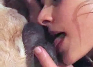 Beauty babe is blowing a big animal cock