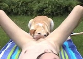 Cute dog licks my loaded hard boner