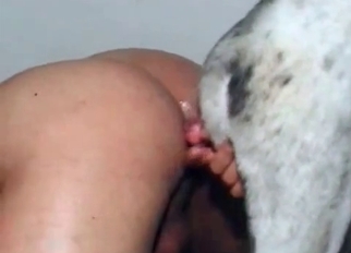 Anal sex action with dog looks so great