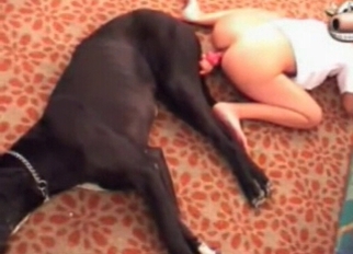 Awesome black doggy fucked her ass
