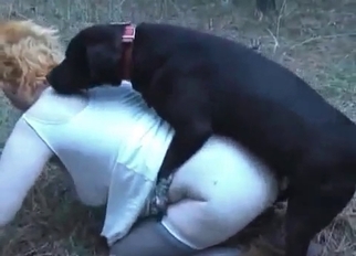 Sexy babes are fucking with their dogs
