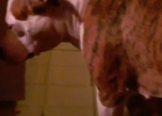 Awesome amateur pet sex in the bedroom