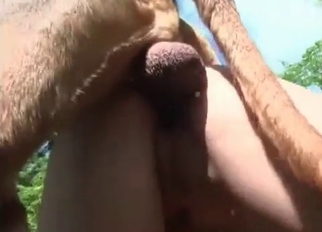 Barking doggy and amazing hungry zoophile