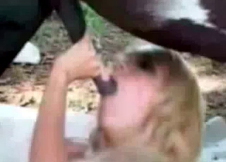 Busty blonde sucking a massive boner