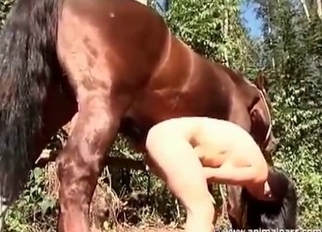 Ass to ass sex action with stallion
