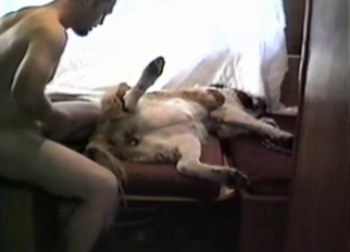 Banging relaxed doggy in the missionary pose