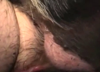 Dirty animal dick in a male anus