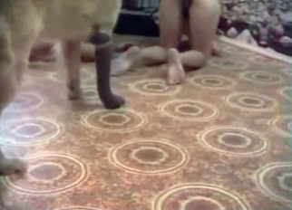 Sweet trained doggy and nice chicks