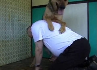 Trained shepherd fucked a big bottom