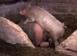 Awesome hairy pig fucked a fat whore