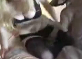 Tight pussy for a massive animal boner