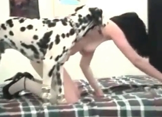 Dalmatian fucked a slender hottie
