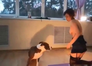 Sexy dog fucked her wet hole so fast