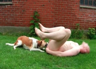Dog licks his hard dick on the grass