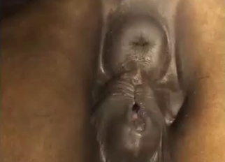 Good and tight anus of a stallion