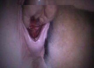 Shoving my hand in tight stallion ass