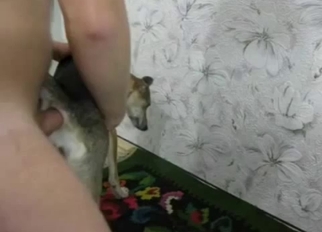 Fucking my amazing doggy from behind