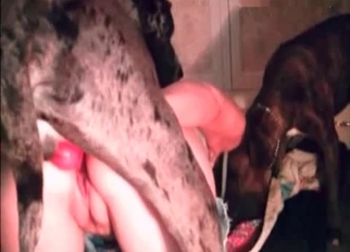 Big-ass doll fucked by her labrador