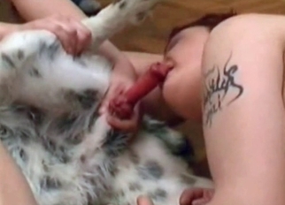 Redhead zoofil sucks Dalmatian dick