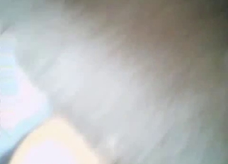 Good black dog enjoys his hard dick