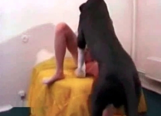 Beauty plays with pussy in the bedroom