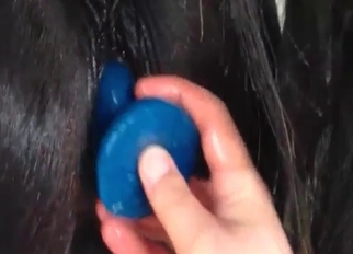Stimulating black anus of my stallion