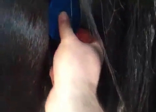 Stimulating black anus of my stallion