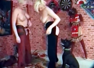 Blondes with big tits fucked by labrador