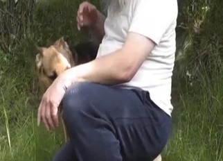 This shepherd has a very nice red dick
