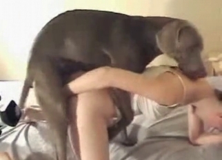 Tricky zoophile fucked hard by her doberman