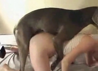 Tricky zoophile fucked hard by her doberman