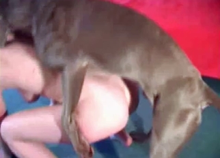 Muscled dog fucked her wet cunt